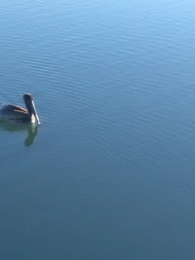 Park «Morse Park Landing», reviews and photos, 4939 US-17 BUS, Murrells Inlet, SC 29576, USA