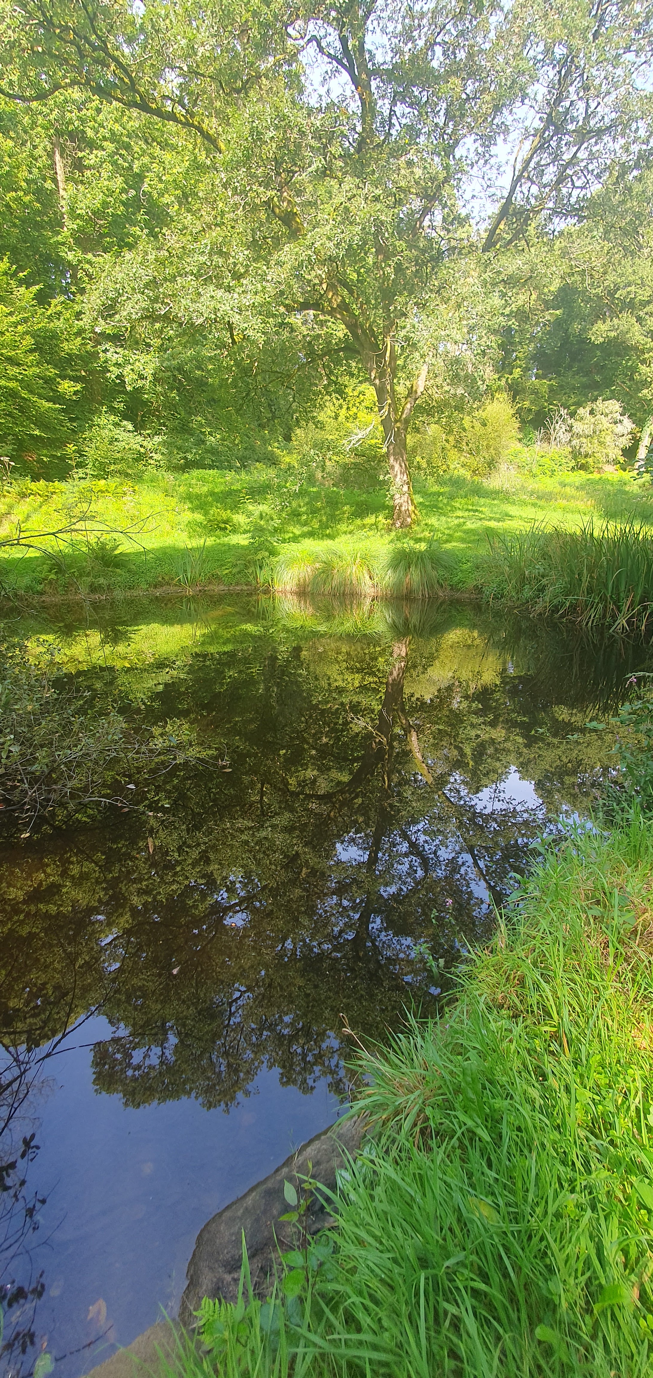 Photo n° 1 de l'avis de Marion.a fait le 18/08/2023 à 17:16