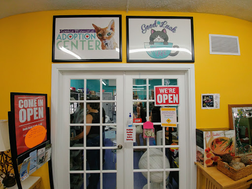 Thrift Store «Boomerangs Thrift Store», reviews and photos, 2365 Wilton Dr, Wilton Manors, FL 33305, USA