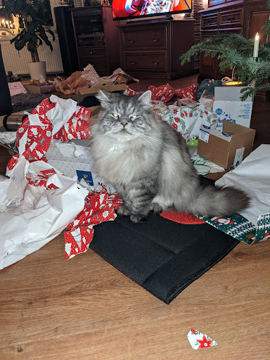 Dr. med. vet Martin Hammer unter Bentwisch, Mecklenburg-Vorpommern