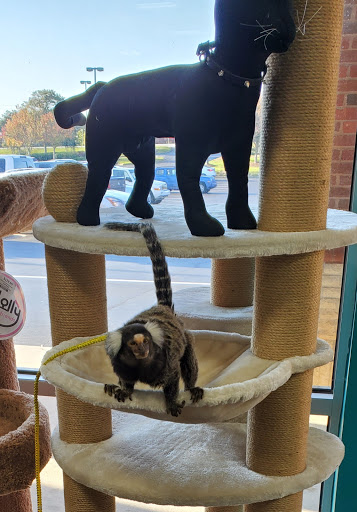 Pet Supply Store «Pet Supermarket, Inc.», reviews and photos, 1052 Peachtree Industrial Blvd, Suwanee, GA 30024, USA