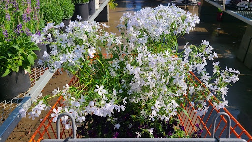 Home Improvement Store «The Home Depot», reviews and photos, 114 Federal Rd, Danbury, CT 06810, USA