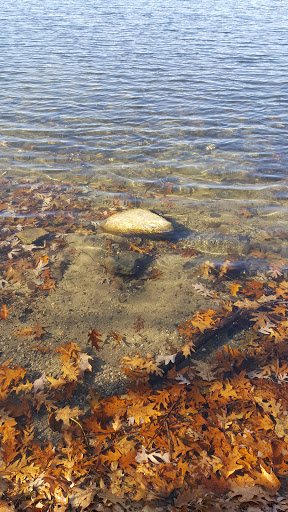 Nature Preserve «Asylum Lake Preserve», reviews and photos, 3836 S Drake Rd, Kalamazoo, MI 49008, USA