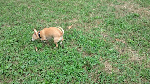 Private Golf Course «Brookside Golf & Country Club», reviews and photos, 2770 West Dublin Granville Road, Columbus, OH 43235, USA