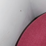 Photo n°4 de l'avis de Elisabete.l fait le 10/06/2022 à 22:41 sur le  Hotel Rural Monte Da Rosada à Arcos