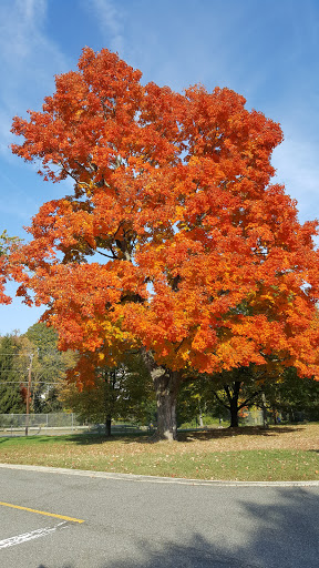 National Park «Fort Hunt Park», reviews and photos, 8999 Fort Hunt Rd, Alexandria, VA 22308, USA