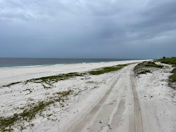 Praia da Pernambuca'in fotoğrafı - rahatlamayı sevenler arasında popüler bir yer