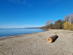 Photo de Plage de St.-Sulpice zone des équipements