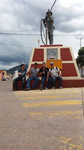 Servicio Navarro
