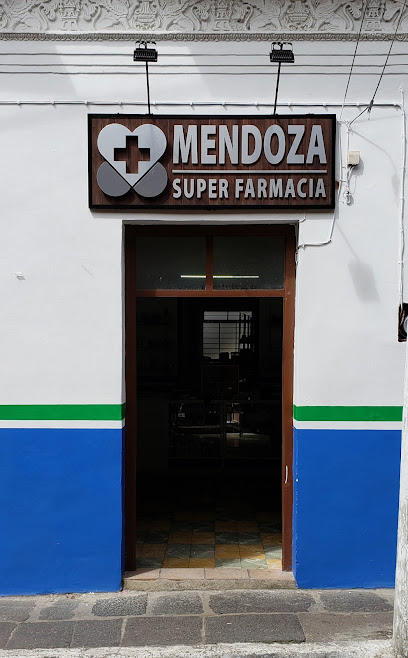 Super Farmacia Mendoza, , Naolinco De Victoria