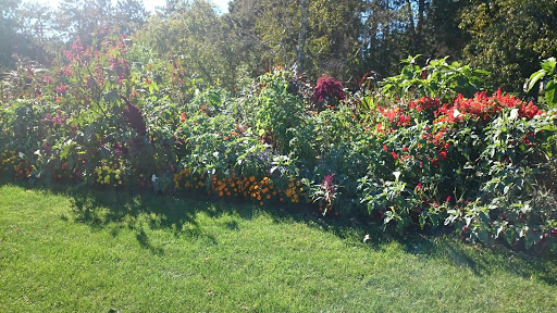 Museum «NATIONAL MUSEUM OF DANCE», reviews and photos, 99 S Broadway, Saratoga Springs, NY 12866, USA