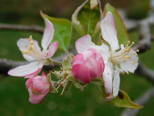 Educational Institution «The Audubon Society of Rhode Island Environmental Education Center», reviews and photos, 1401 Hope St, Bristol, RI 02809, USA