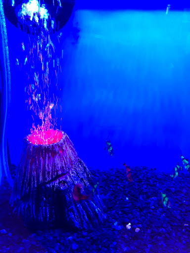 Pet Supply Store «Petco Animal Supplies», reviews and photos, 1060 U.S. 9, Parlin, NJ 08859, USA