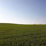 Photo n°3 de l'avis de Gianluca.u fait le 01/04/2019 à 08:06 sur le  Tenuta COPPA di Ruvo di Puglia à Ruvo di Puglia