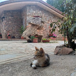 Photo n°1 de l'avis de andrea.u fait le 01/09/2021 à 21:16 sur le  Hotel Ristorante Il Nido Dell'Aquila à Villanova Strisaili