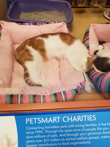 Pet Supply Store «PetSmart», reviews and photos, 300 NJ-18, East Brunswick, NJ 08816, USA