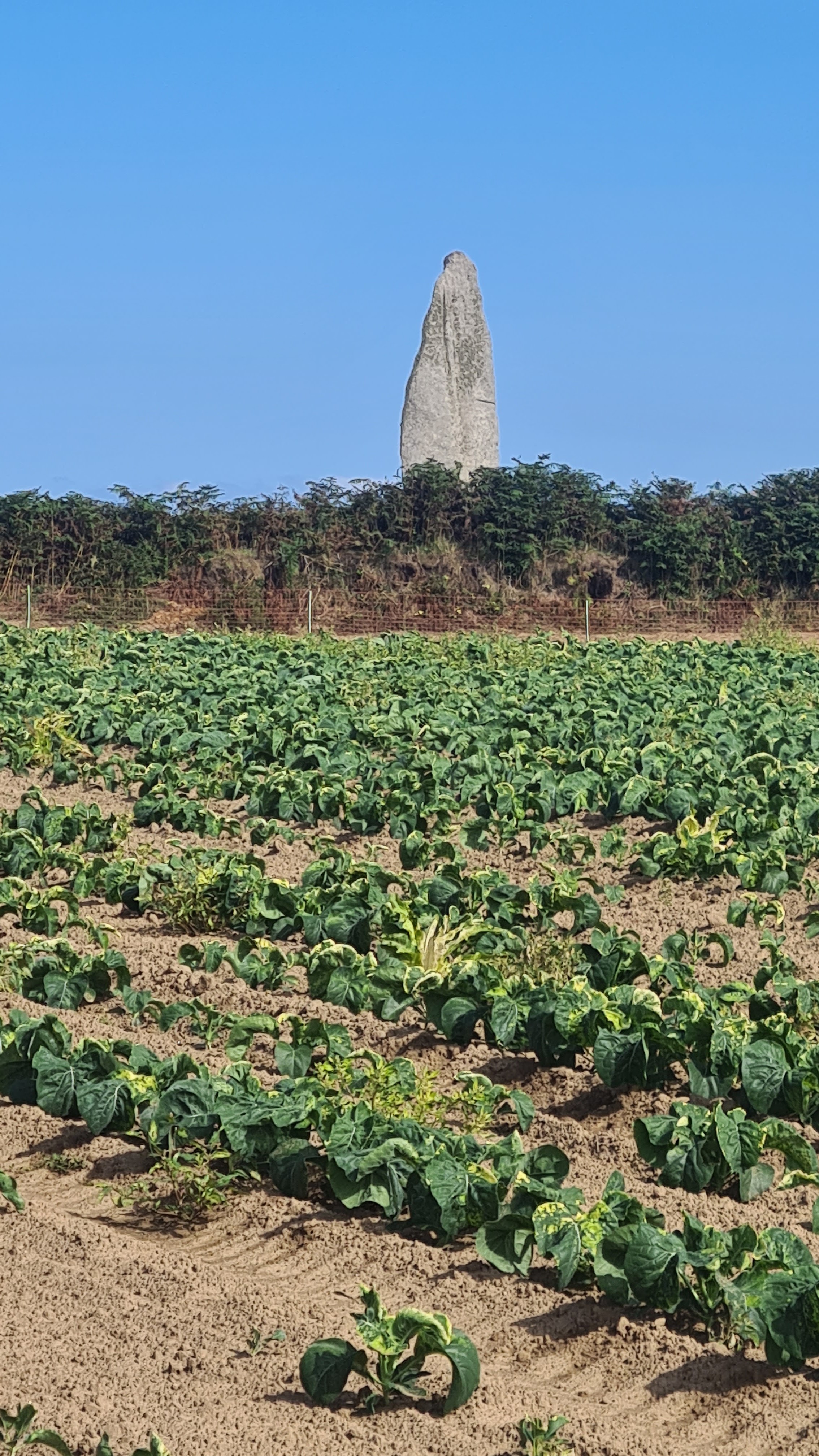 Photo n° 4 de l'avis de laurent.a fait le 27/08/2022 à 19:12