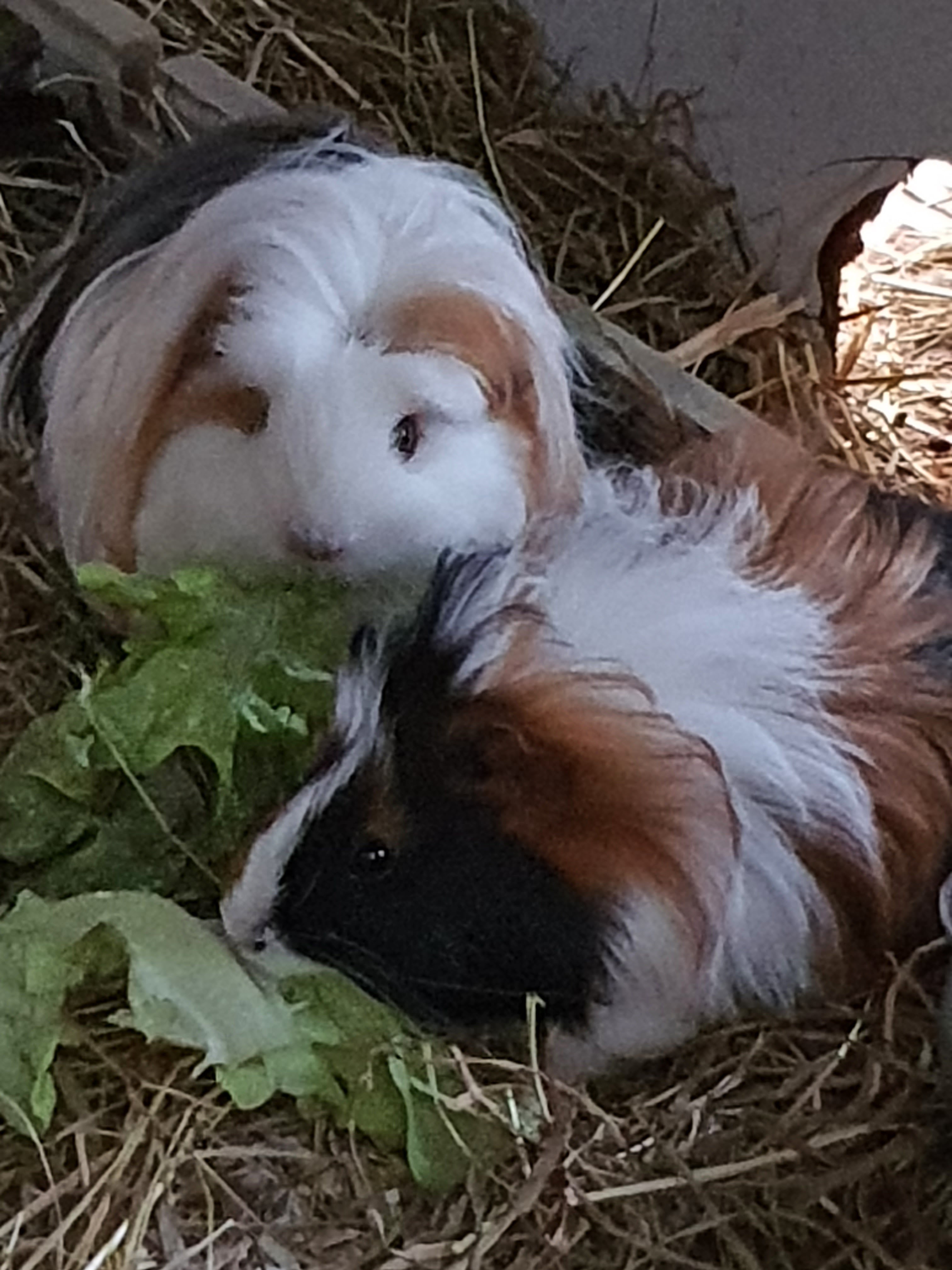 Photo n° 2 de l'avis de Legros.a fait le 14/07/2021 à 19:53