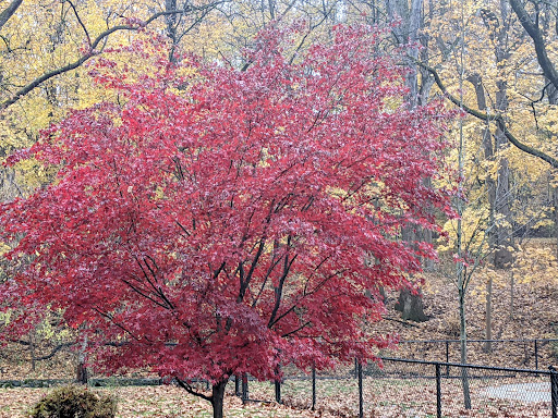 Park «Grover Cleveland Park», reviews and photos, Brookside Ave & Runnymede Rd, Essex Fells, NJ 07021, USA