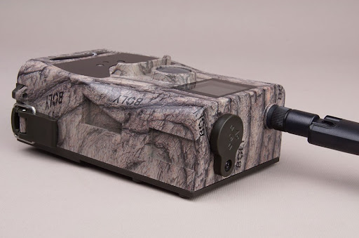 PABLO - Productos Taxidermia y Caza en Cañete, Cuenca