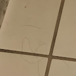 Photo n°1 de l'avis de Andreas.a fait le 06/09/2022 à 17:57 sur le  Hotel Liszt - 3 Sterne Garnihotel à Weimar