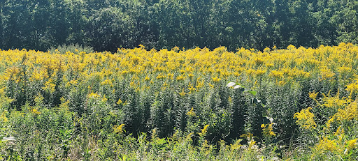 Nature Preserve «Wood Lake Nature Center», reviews and photos, 6710 Lake Shore Dr S, Minneapolis, MN 55423, USA