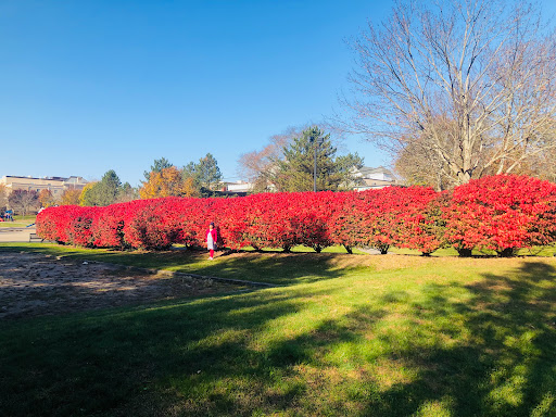 Park «Balfour Riverwalk Park», reviews and photos, 74 N Main St, Attleboro, MA 02703, USA