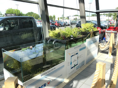 Biome Création à Saint-Étienne-de-Montluc