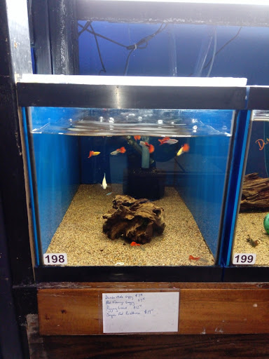 Pet Supply Store «Tropical World Pets», reviews and photos, 8444 Watson Rd, Webster Groves, MO 63119, USA