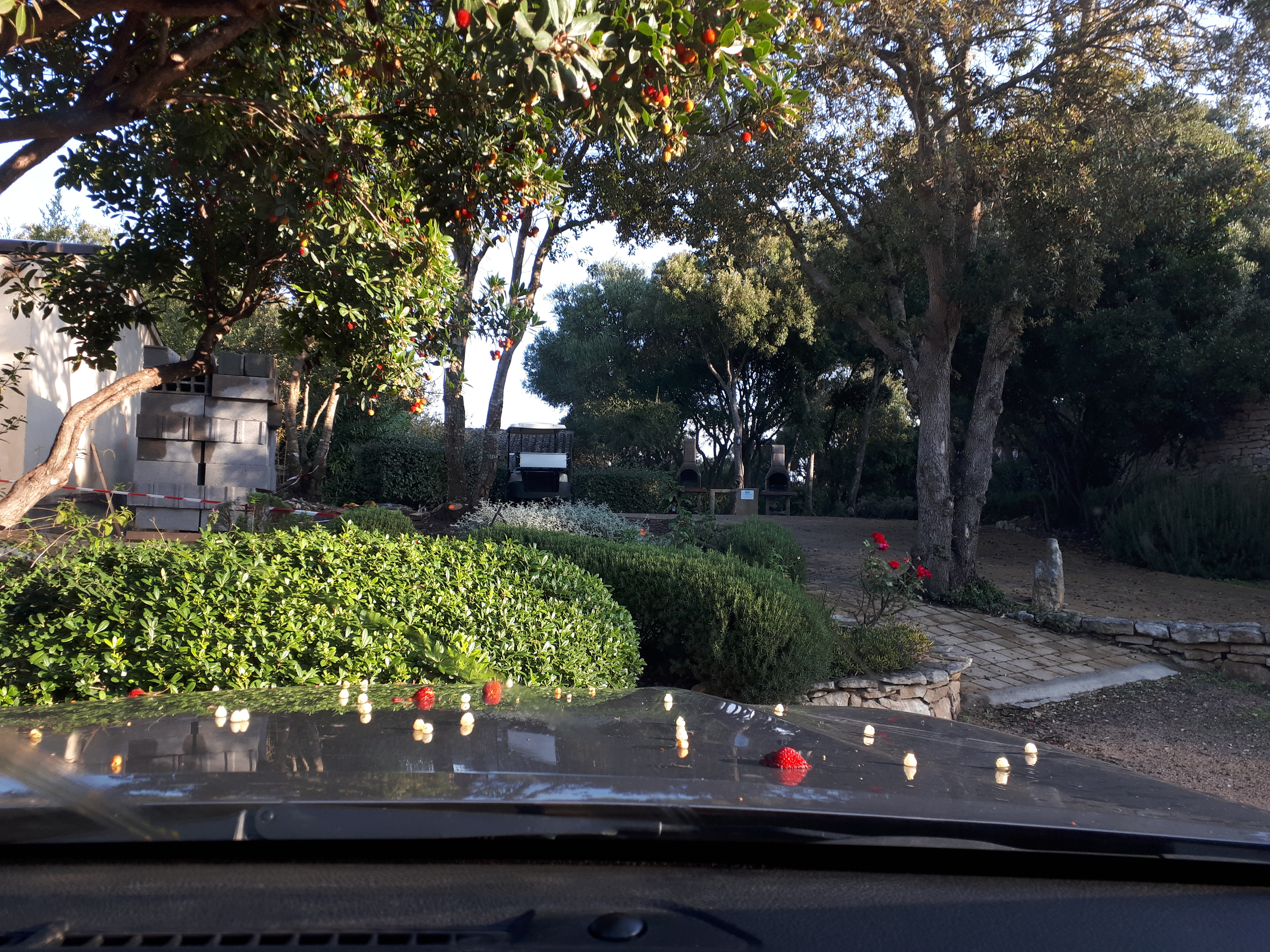Photo n° 1 de l'avis de Kelli.a fait le 18/11/2018 à 09:16