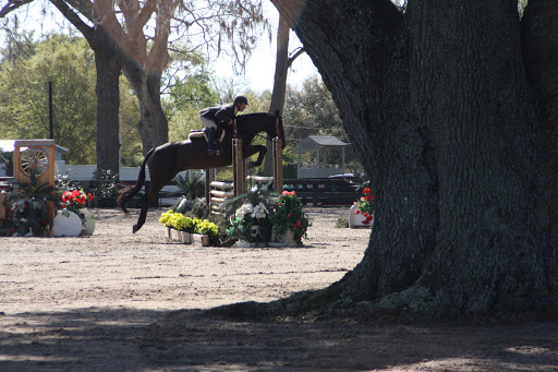 Summer Hill Farm