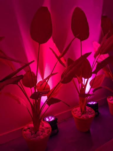 Event Venue «The Temple House», reviews and photos, 1415 Euclid Ave, Miami Beach, FL 33139, USA