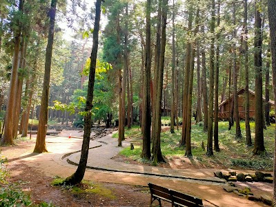 龍ケ崎市森林公園