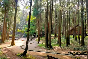 Ryugasakishi Forest Park image