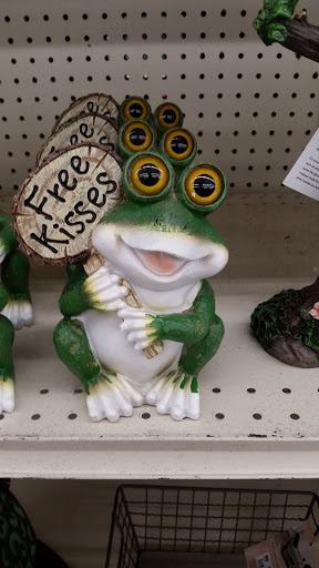 Discount Store «Big Lots», reviews and photos, 425 Sawdust Rd a, Spring, TX 77380, USA