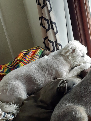 Pet Supply Store «Pet Supplies Plus», reviews and photos, 2433 MacArthur Rd, Whitehall, PA 18052, USA