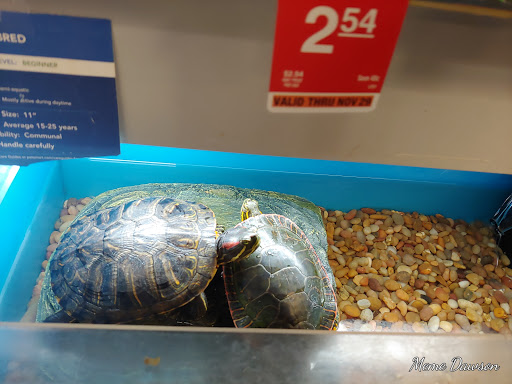 Pet Supply Store «PetSmart», reviews and photos, 2150 Paxton Ln SW, Lilburn, GA 30047, USA