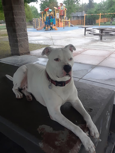 Park «Hilltop Park», reviews and photos, 3242 S Richfield St, Aurora, CO 80013, USA