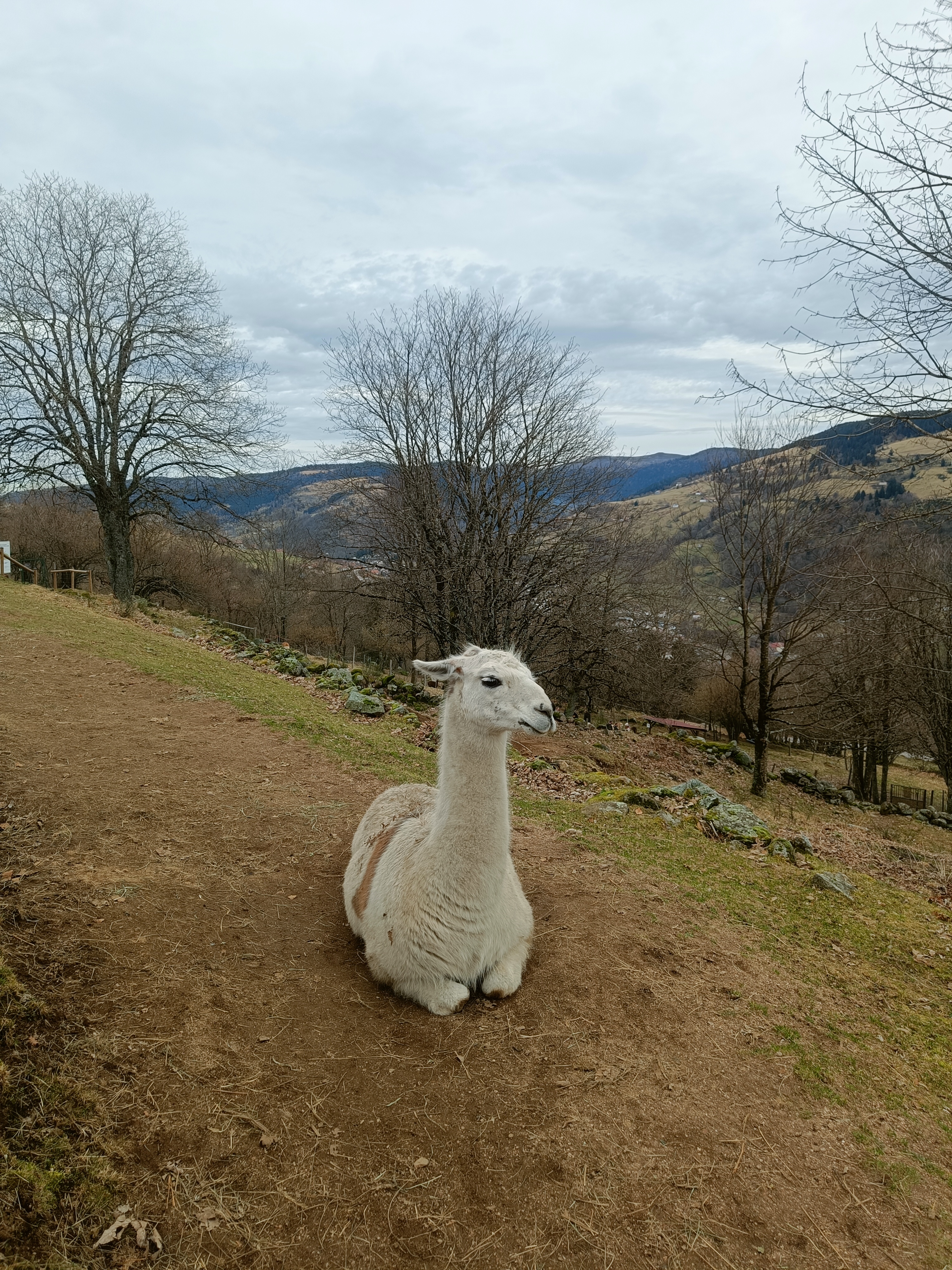 Photo n° 8 de l'avis de Olivier.e fait le 17/02/2024 à 21:59