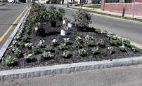 Als Landscaping inc. - Photo 7 - Car repair in Upton, MA, Worcester
