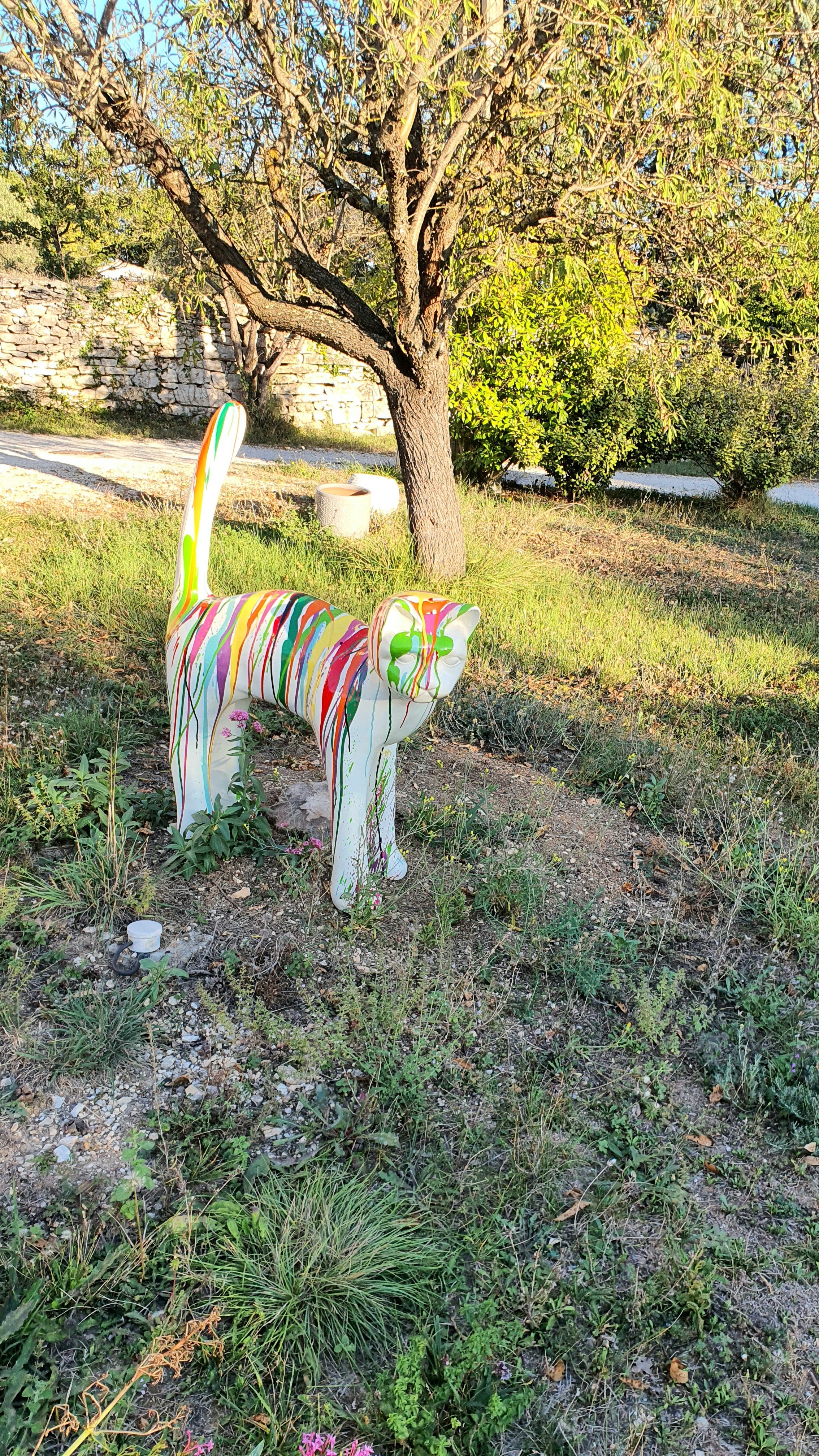 Photo n° 7 de l'avis de Qixote.v fait le 10/10/2023 à 19:27