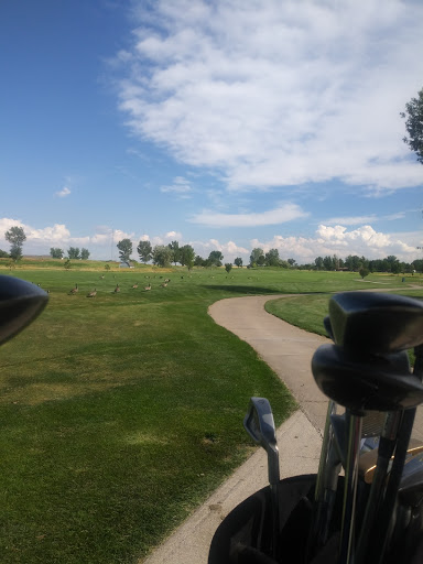 Golf Club «Saddleback Golf Course», reviews and photos, 8631 Frontier St, Firestone, CO 80504, USA