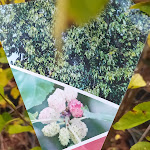 Photo n° 7 de l'avis de Gwenole.u fait le 13/07/2023 à 12:55 pour Paysages Conseil | Paysagiste à Caen à Souleuvre en Bocage