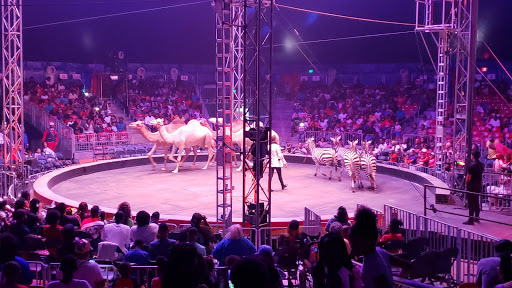 Shopping Mall «Hickory Ridge Mall», reviews and photos, 6075 Winchester Rd, Memphis, TN 38115, USA