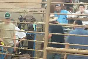Stephenville Cattle Co image