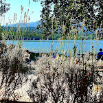 Photo n°10 de l'avis de Giancarlo.o fait le 10/10/2020 à 23:52 sur le  LaZanzara à Avigliana