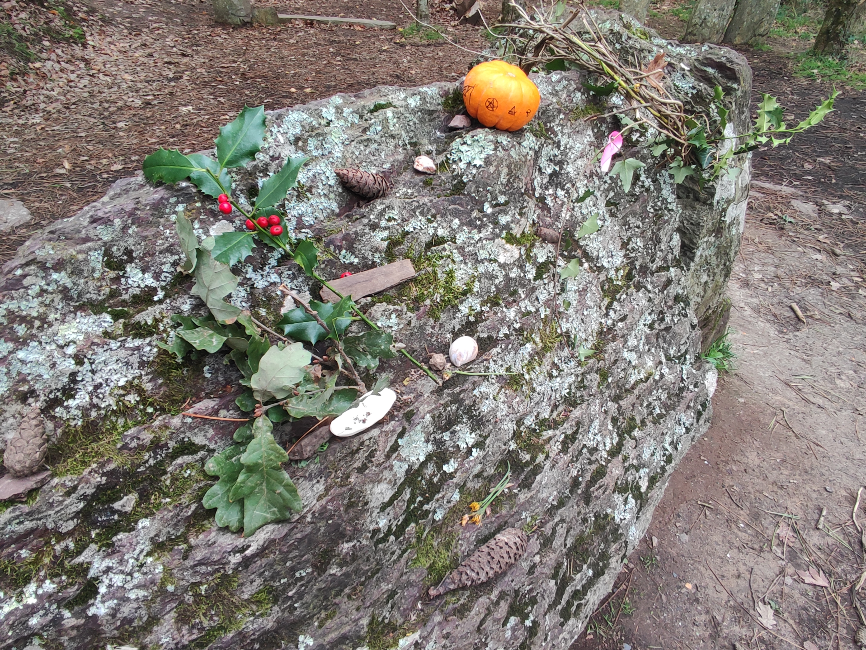Photo n° 1 de l'avis de LaRenarde.o fait le 21/11/2022 à 08:21