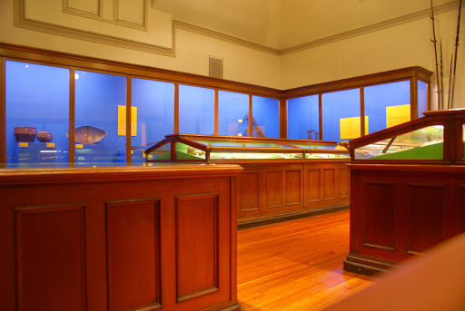 Natural History Museum «Museum of Natural History and Planetarium», reviews and photos, 1000 Elmwood Ave, Providence, RI 02907, USA