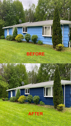 14005 Simone Dr, Shelby Charter Township, MI 48315, USA