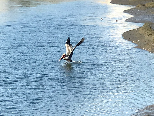 Nature Preserve «Peter and Mary Muth Interpretive Center», reviews and photos, 2301 University Dr, Newport Beach, CA 92660, USA